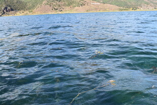 碧波荡漾的宁静湖水