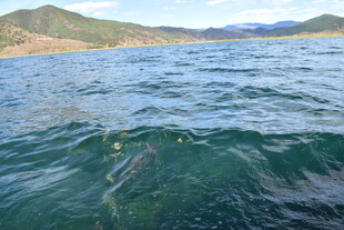 碧波荡漾的辽阔水域