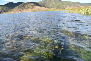 清澈湖水与远山美景