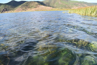 清澈湖水与远山美景
