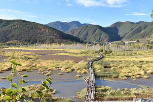 山间木桥横跨开阔湿地景观