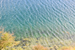 清澈湖水与岸边景致