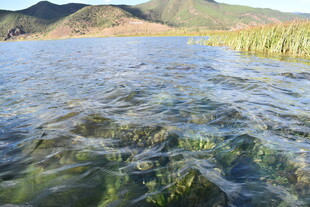 清澈湖水与远处山峦