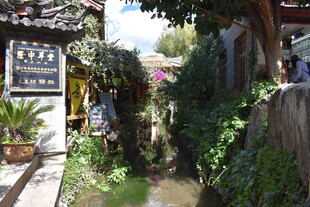 古巷溪流旁的静谧景致