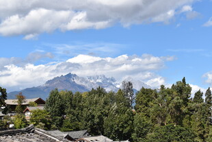 雪山下的葱郁树林美景