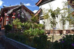 庭院绿植环绕的美丽民居