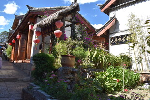 古雅中式建筑与绿植景致