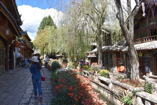 古街小巷中的悠闲漫步