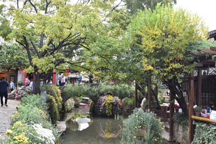 日式园林景观 静谧美好