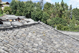 传统灰瓦屋顶与葱郁树林