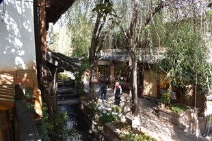 中式庭院景观 静谧雅致