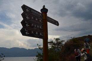 路标指示牌指引多样方向