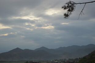 山间暮色 枝头伴云景