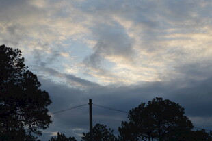 黄昏时分的天空与树木