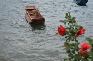 水上小船伴娇艳红花