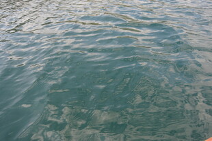 清澈海面下的水下景象