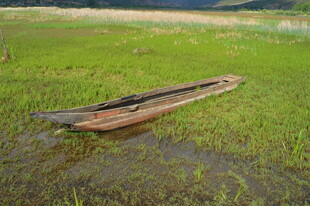 荒野中的古老木质小船