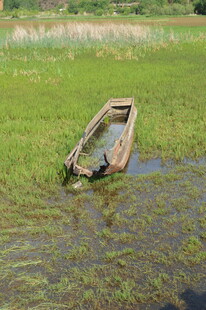 荒草中的破旧小船