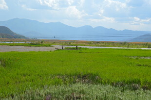 田园绿野间的开阔风光