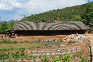 乡村古朴瓦房 田野环绕