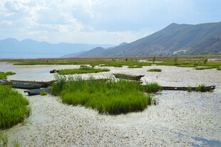湿地风光 水草与远山相映
