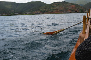 船边水中的橙色漂浮物
