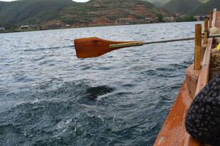 船桨入水于波光粼粼湖面