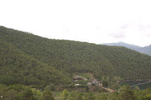 山间村落隐于葱郁山林