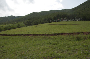 山间翠绿草地风景如画