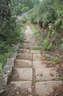 山间石板小径 绿意环绕