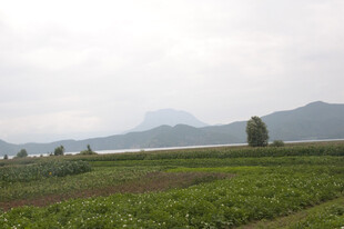 田园风光中的远山与农田