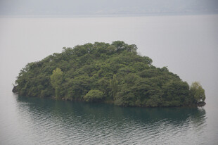 湖中小岛绿意盎然
