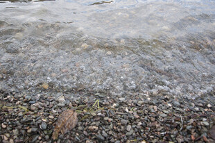 海边碎石上的涌浪