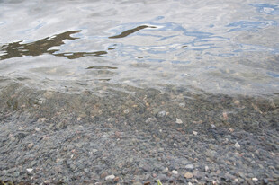 海边沙滩上的波浪与碎石