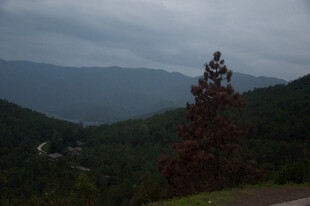 山间红树映幽远山峦