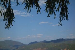 垂柳映远山 蓝天缀白云