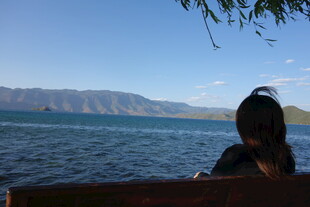 湖畔独坐的背影