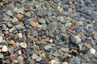 水底五彩斑斓的鹅卵石