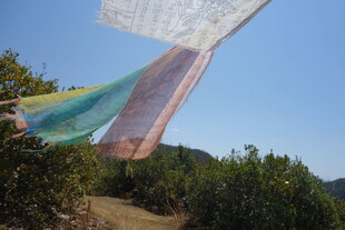 彩色经幡飘扬于山林间