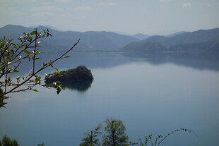 宁静湖景中的孤石与绿植