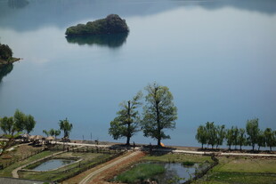 湖畔风光 宁静自然景致