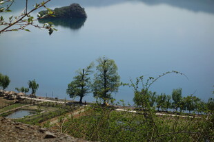 湖畔田园风光景色宜人