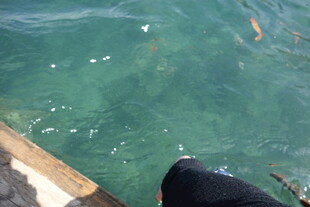 俯瞰清澈海水中的木质平台