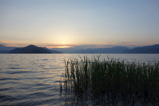 湖畔日出 水草摇曳的美景