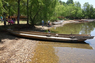 岸边停泊的小船