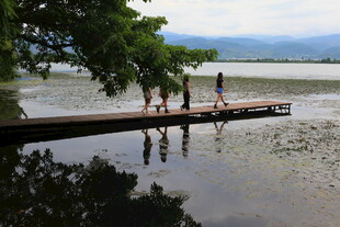 湖畔木栈道上的休闲身影