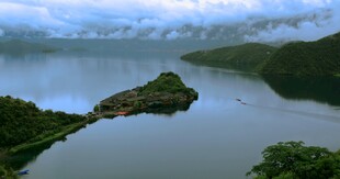 宁静湖景中的绿意小岛