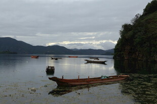 宁静湖面上的几叶扁舟