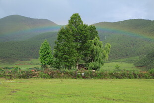 草原山林间的绚丽彩虹