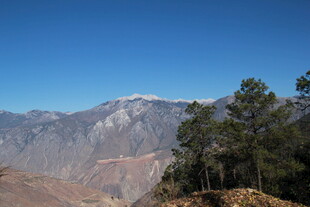 山间松林与远山脉景